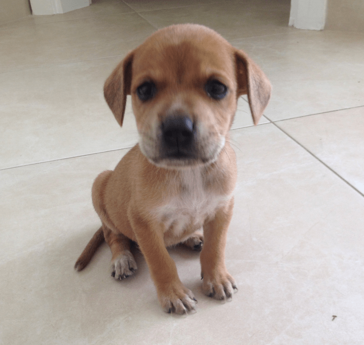 IMG 3519 E1513965514785