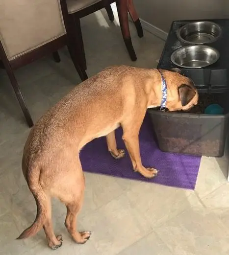 Image1 E1518501538764