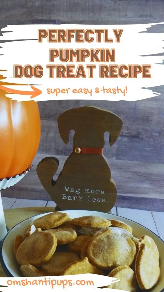 Perfectly Pumpkin Dog Treat Recipe Story 1