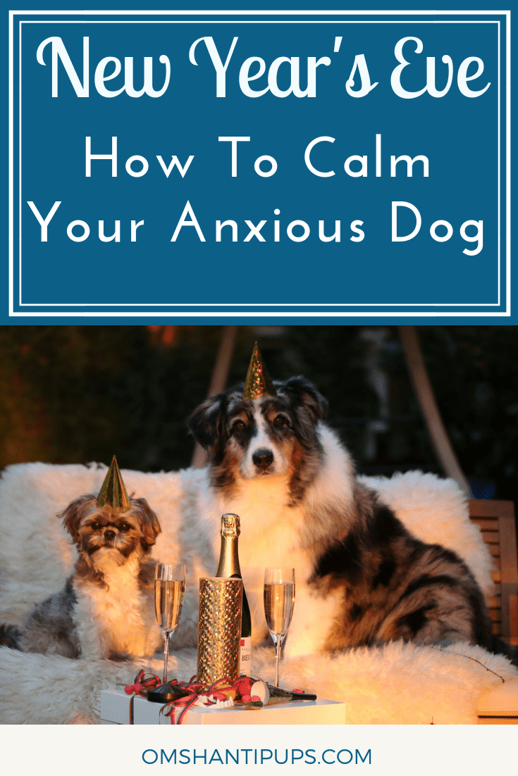 The holiday season is in full swing, and there’s one more happening soon – New Year’s Eve! But for many pups, this is one of the scariest days of the year. Here are 4 products that will help keep them safe, secure, and soothe their anxiety. #dogs #doganxiety #doghealth
