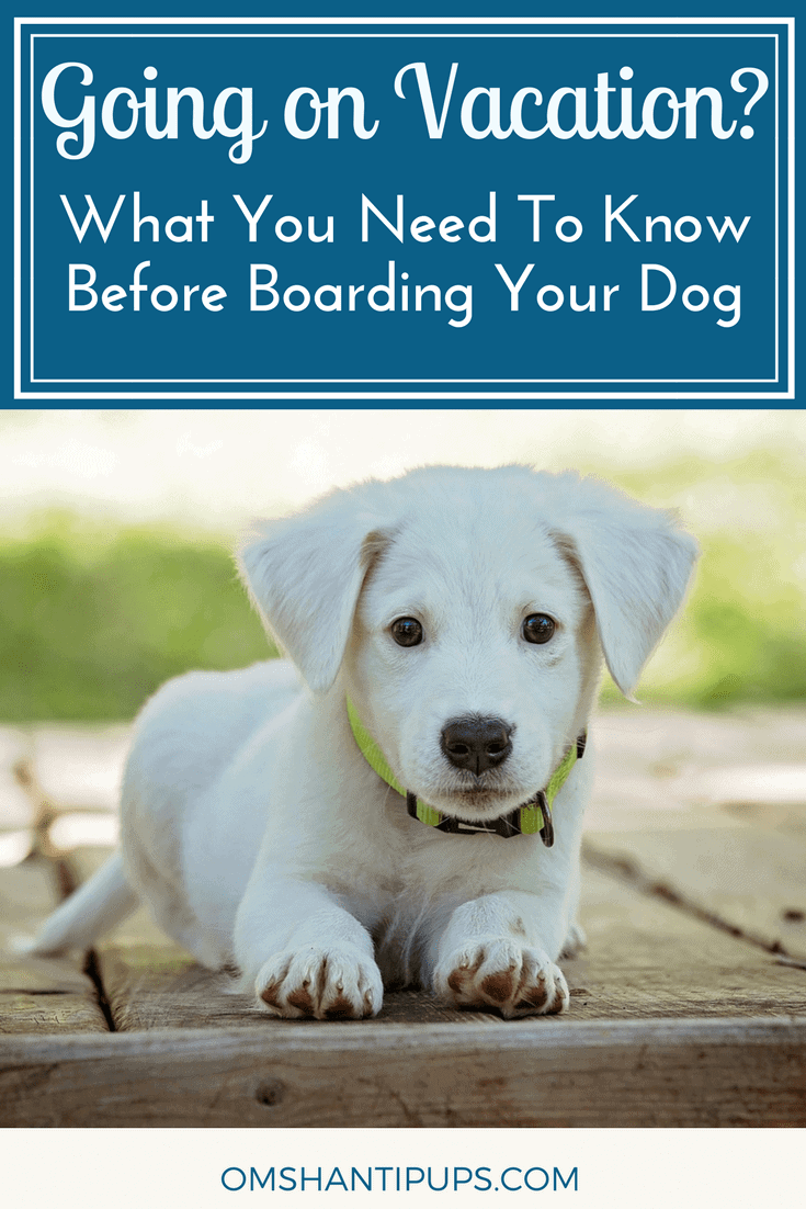 It’s tough leaving our dogs when we go on trips. It’s especially difficult if you haven’t boarded them before. These tips will make your dog more comfortable and let you trust those taking care of them, whether at home or at a kennel.