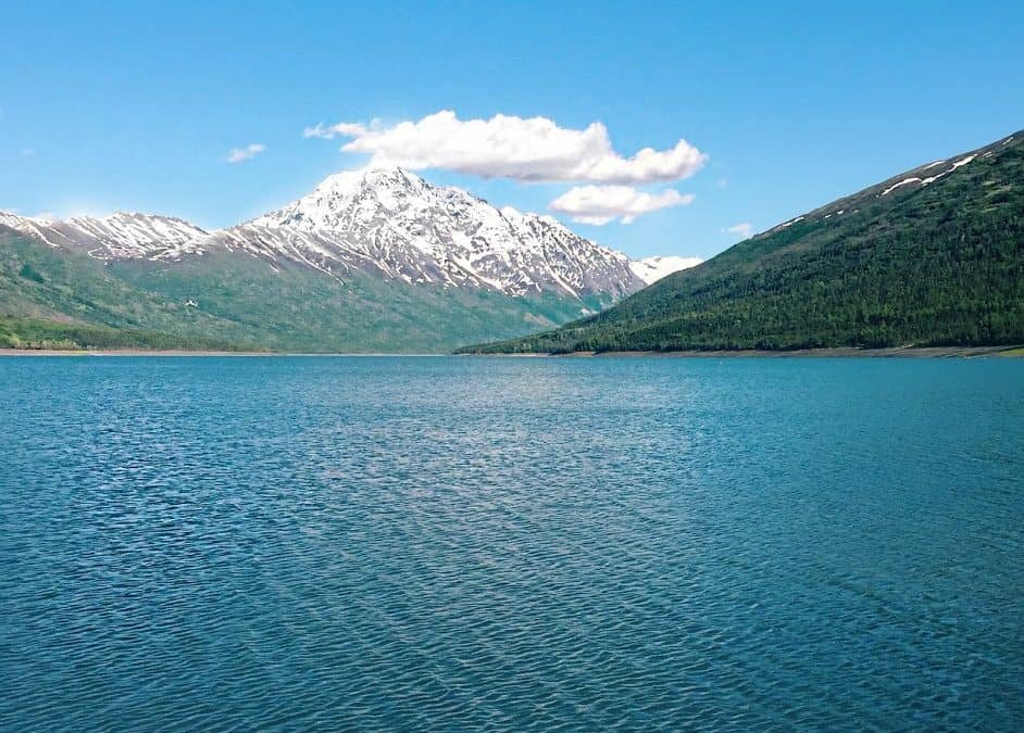 All About Our Alaska Life