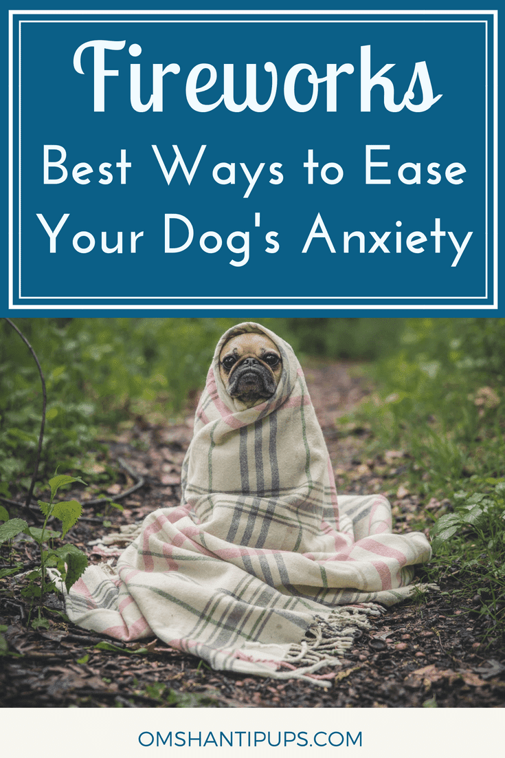 Summer brings lots of fun adventures, but with it comes a pretty scary one for some dogs - Independence Day. The Fourth of July fireworks are loud and unpredictable, which can be terrifying for dogs with anxiety. Read on for tips to help relieve your dog's stress during fireworks.