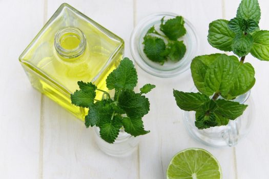 essential oils for fleas and ticks
