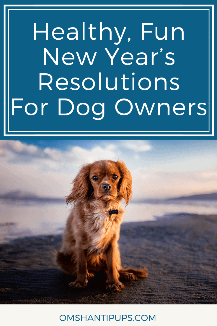 As we start another new year, it's the perfect time to think about what we want to achieve during the year ahead. Why not consider a New Year’s resolution that is going to benefit your dog? Read on for New Year’s resolutions for dog owners.