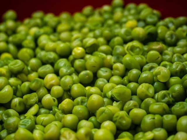 are frozen peas safe for dogs