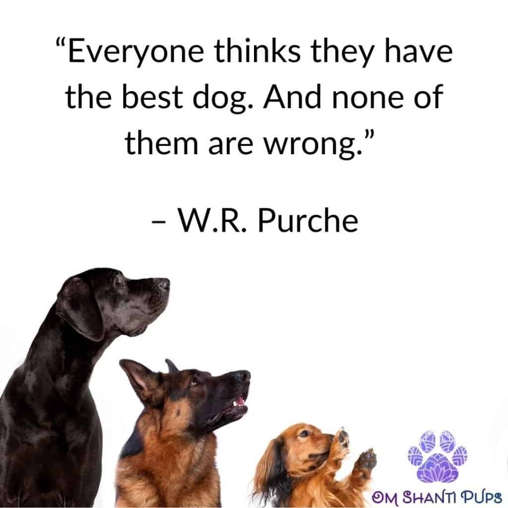 125+ Great Dog Quotes To Read Today! | Om Shanti Pups