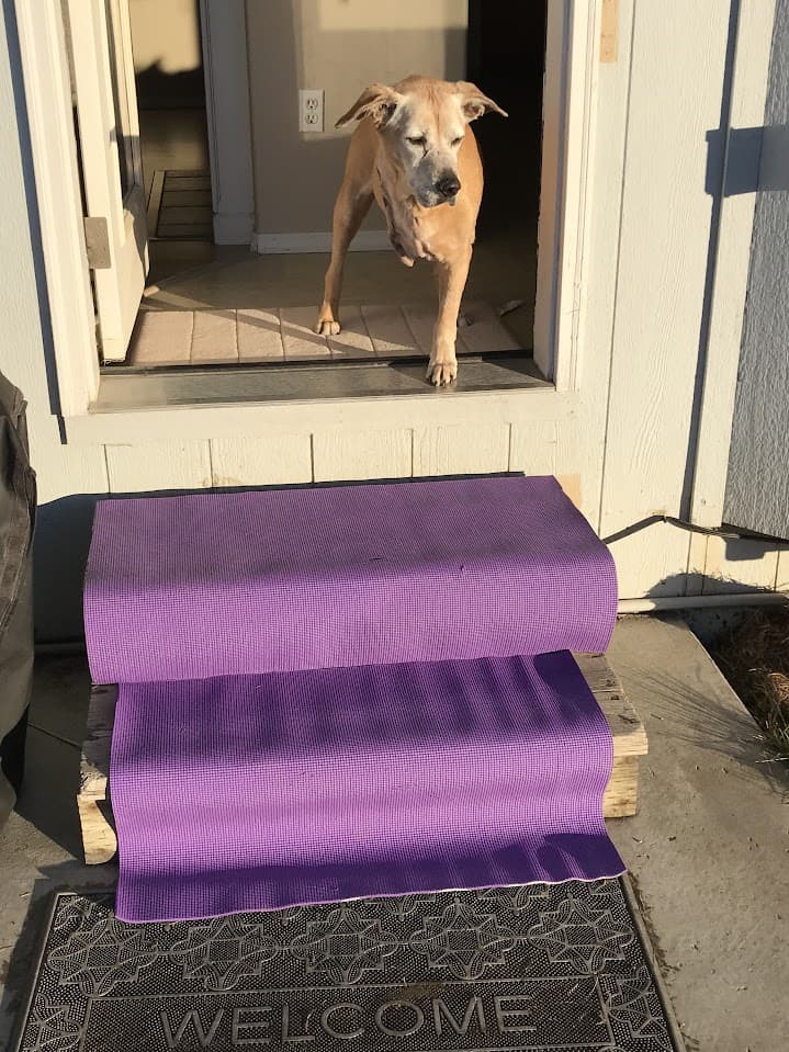 Ginger yoga mat while recovering
