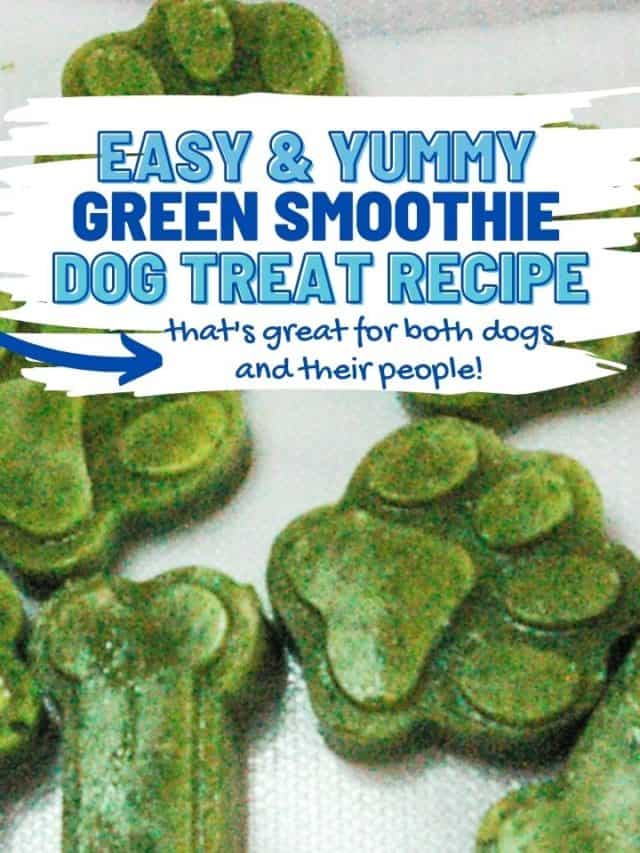 Easy & Yummy Green Dog Treat Recipe