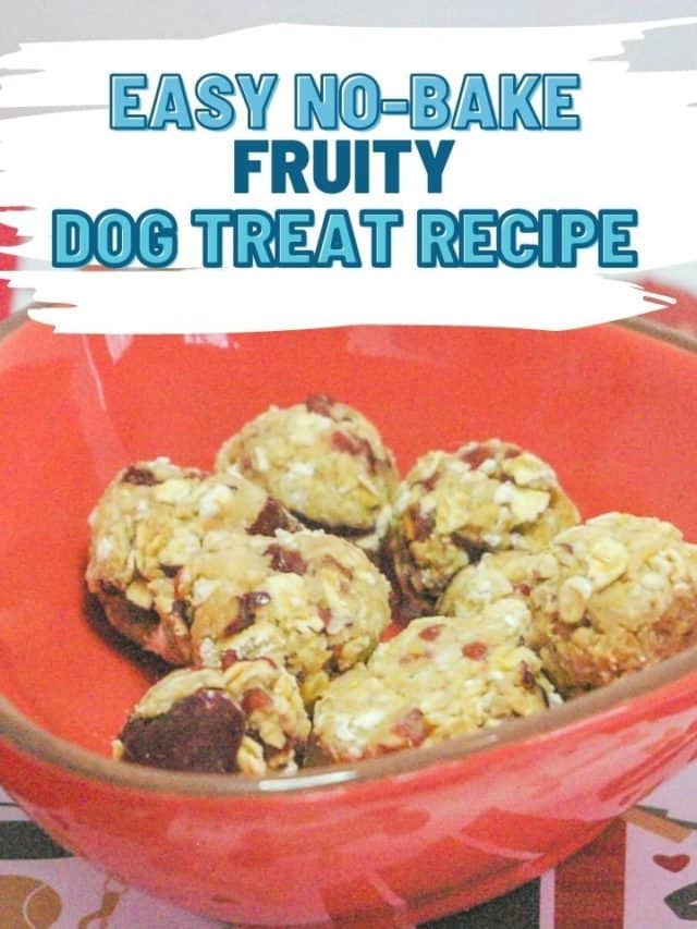 Yummy, Quick Fruity Dog Treat Recipe