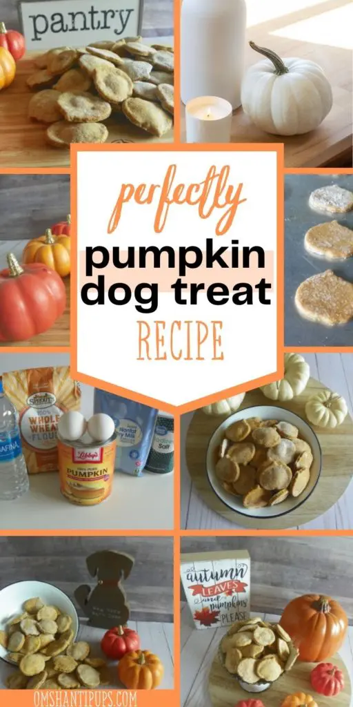 Perfectly Pumpkin Fall Dog Treats | Om Shanti Pups