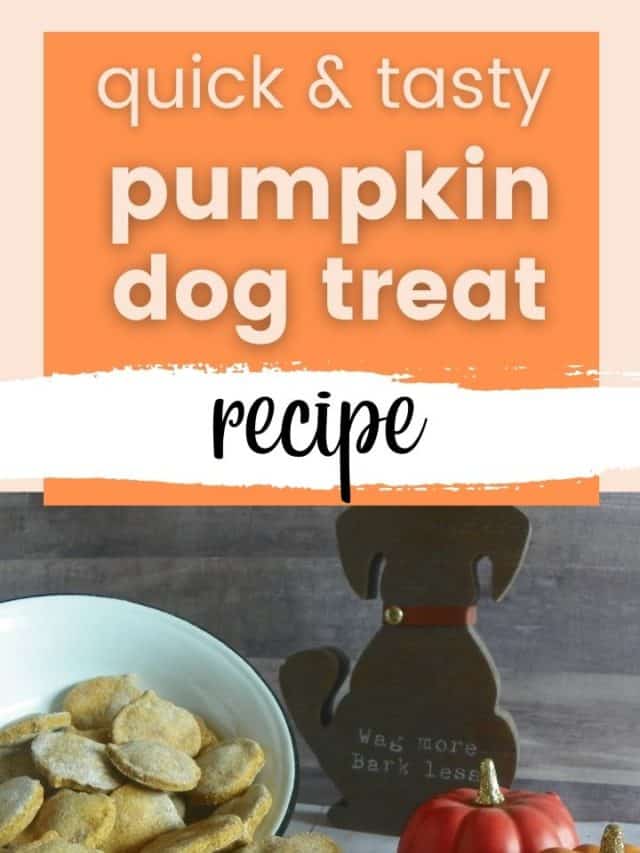 Fall Favorites Pumpkin Dog Treat Recipe