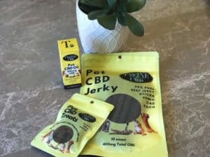 CBD For Dogs: How To Care For Your Dog’s Health With CBD Oil + CBD Dog Treats