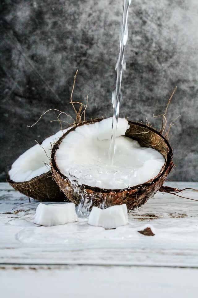 is coconut milk dangerous for dogs