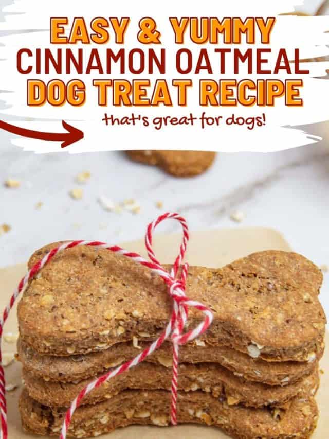 Cinnamon Oatmeal Dog Treat Recipe Story
