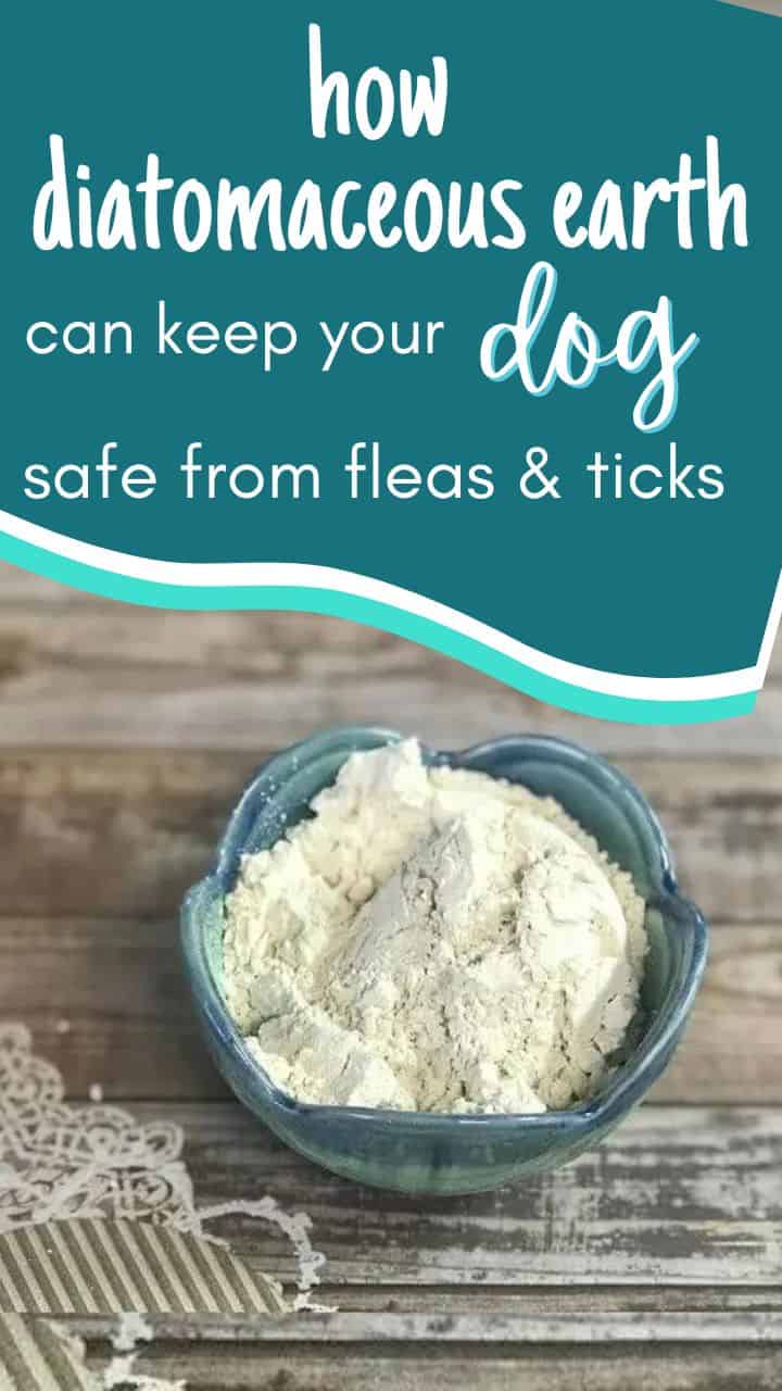 is diatomaceous earth safe for dogs