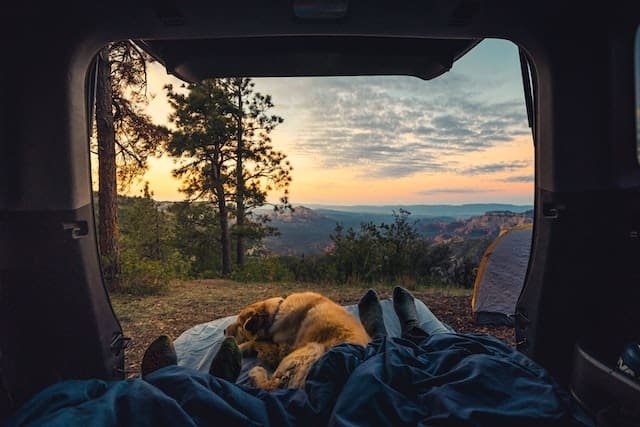 How to Have the Best Camping Trip with Your Dog