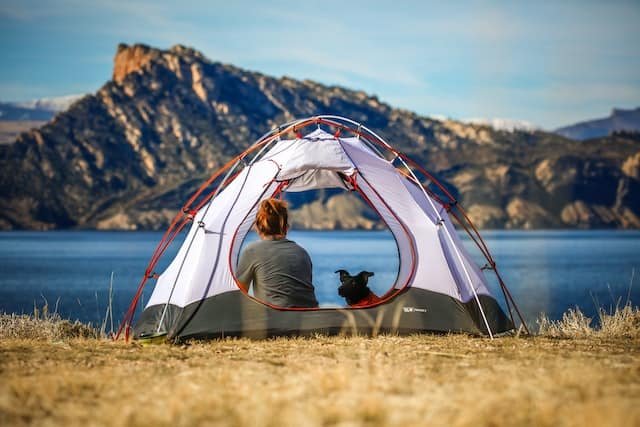 tips to camp with dogs