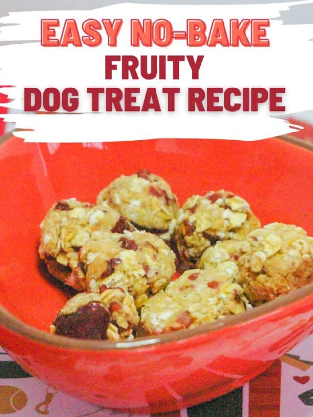 Fruity No-Bake Dog Treat Recipe (Plus Pill Pocket Alternative)